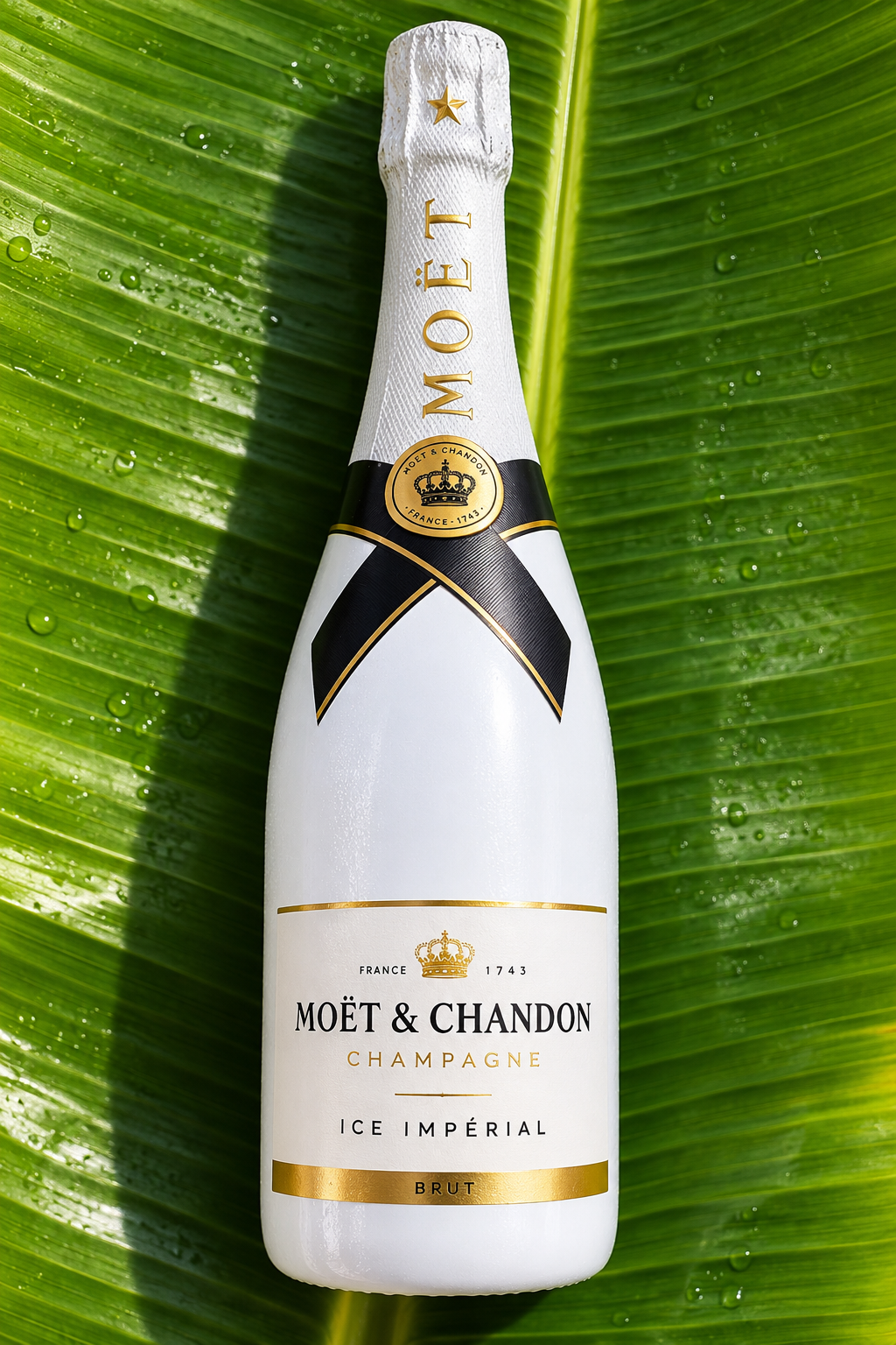 Bottle Gift Concierge