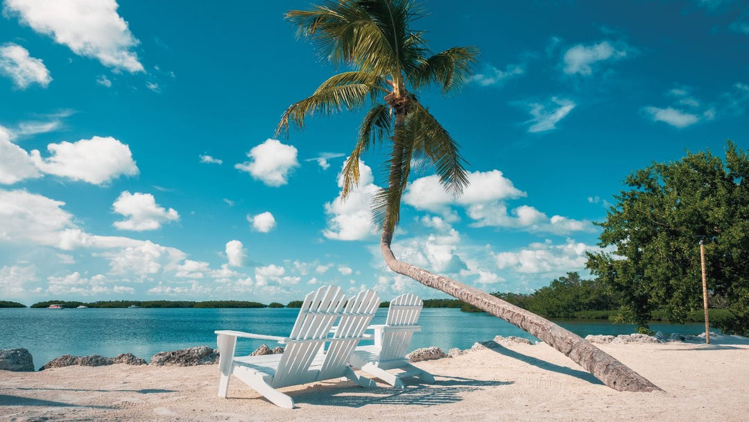 Beach scene with lounge chairs and palm tree