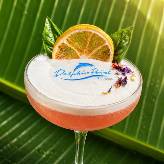 Cocktail with a frothy top and orange slice on a green leaf background, featuring the &